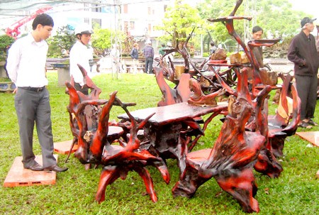 Visitors view wood products at the festival in Quy Nhon City. (Photo:SGGP)